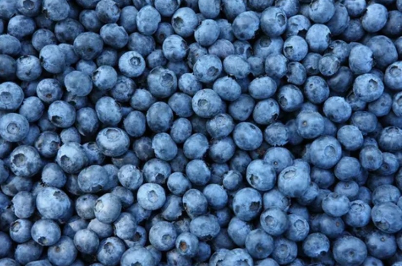 The Blue Jewel of the Berry Patch: Unpacking the Wonders of Blueberries