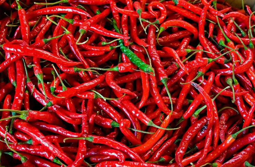 What Is Chili Pepper and Where Does It Grow?