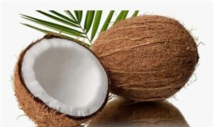 Coconut: The Versatile Wonder of Nature