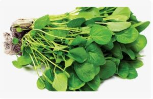 What is Cress and Where Does it Grow?
