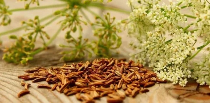 What is Cumin and Where Does it Grow?