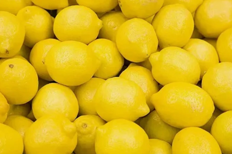 Lemon: The Tangy Wonder – Benefits, Uses, and More