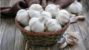 Garlic is nature superfood for health