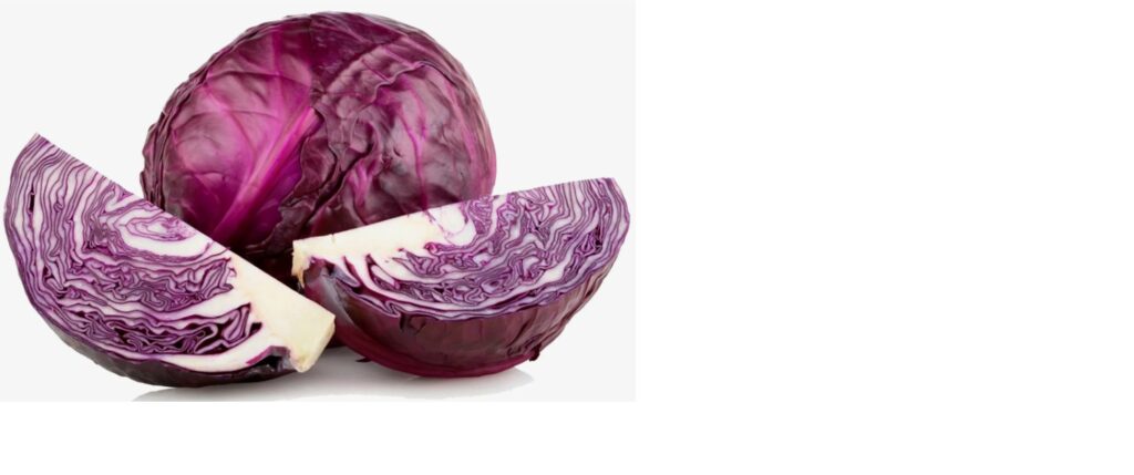 What is Red Cabbage